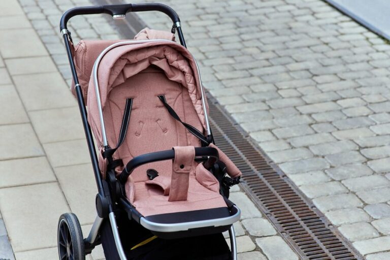 Best Strollers 2024: Top Picks for Safety, Comfort, and Convenience